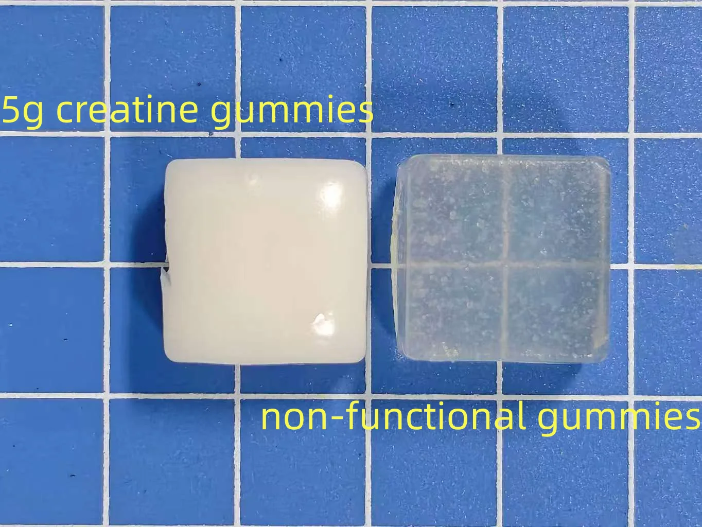 Labeled comparison of an opaque white creatine gummy and a translucent non-functional gummy on a blue grid, illustrating differences in light transmission.