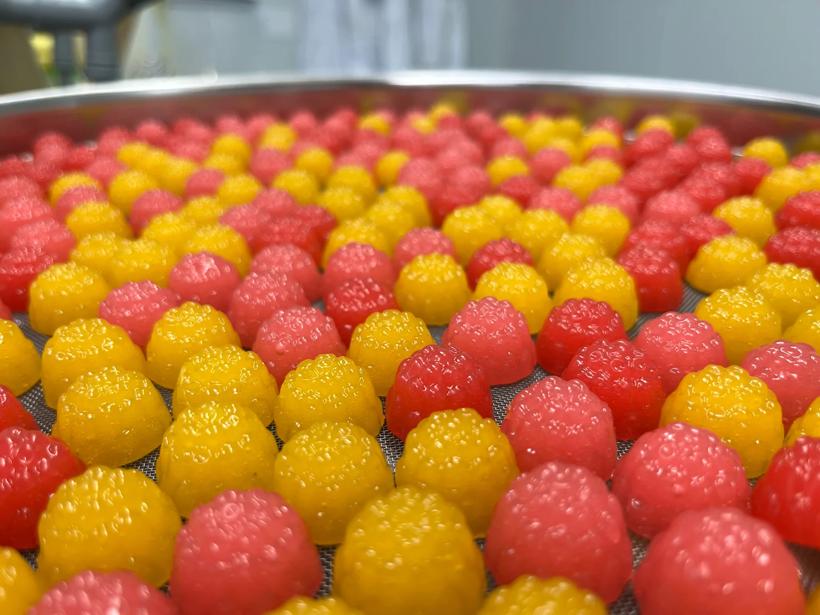 Red and yellow berry-shaped gummies spread across a round mesh tray, illustrating visual variety in the discussion of magnesium gummy taste and daily routines.