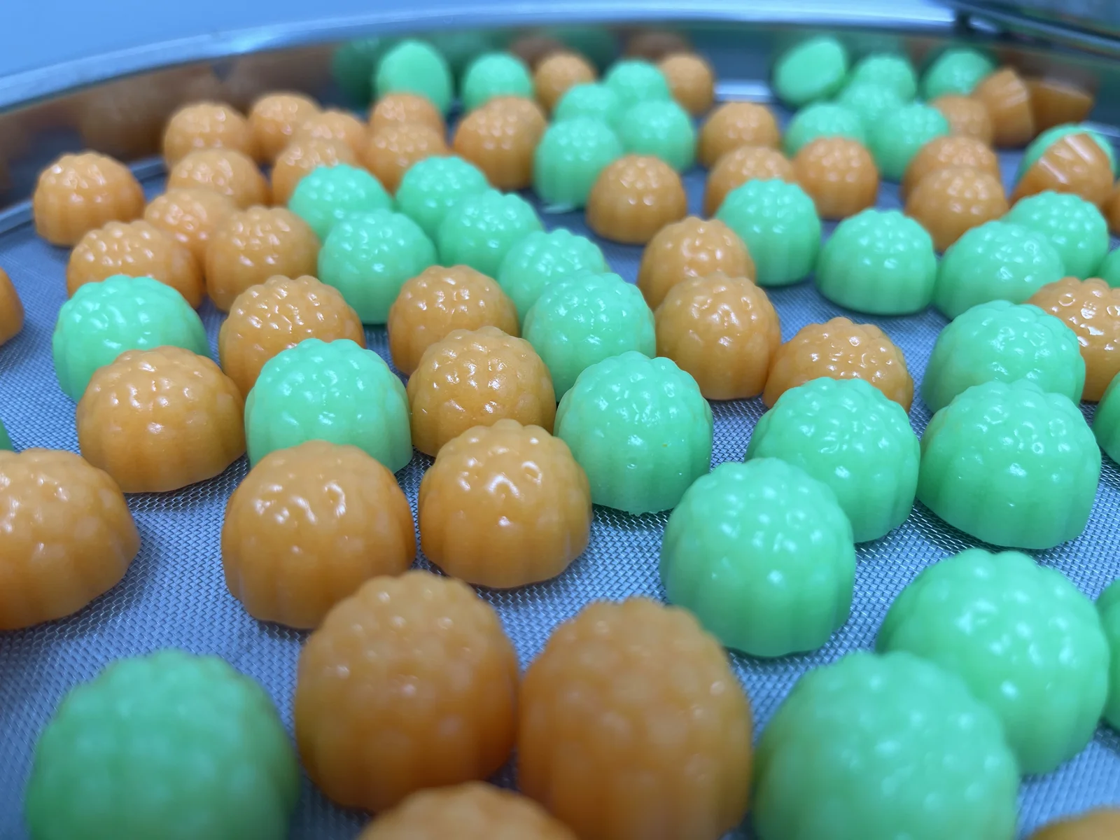 Green and orange berry-shaped gummies on a mesh tray, illustrating strain-specific probiotic gummy development and the importance of matching strain selection to the intended product focus.
