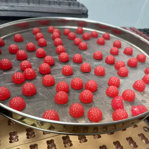 Red gummy samples displayed beside mould trays during apple cider vinegar gummy product development