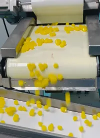 Yellow gummies moving through finishing equipment for a 1,000 mg vegan ACV pectin project