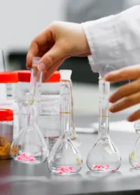 Laboratory technician comparing gummy samples during an apple cider vinegar raw material source change project