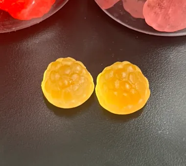 Two orange berry-shaped ashwagandha gummies representing an established 300 mg-per-serving formula that can be specified with ashwagandha sourced from the root or leaf.