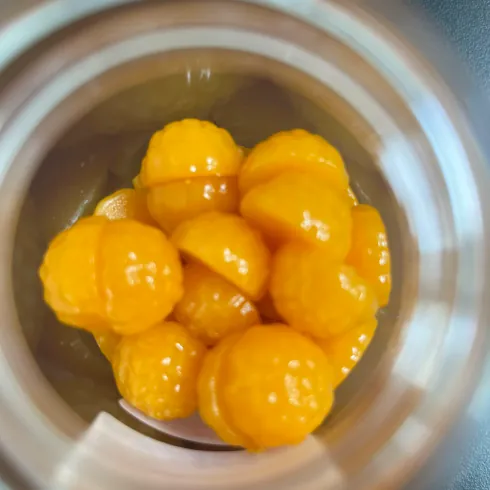Yellow textured gummy samples viewed inside a clear container during serving format review