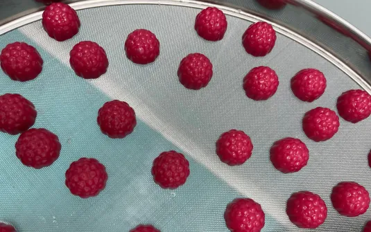 Red textured gummy samples spread across a production mesh during a high-load beetroot gummy pilot concept