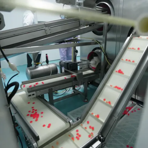 Red gummies moving between processing conveyors at SUCOTOND, supporting custom biotin gummies through more than 60 compound formulas and over 10 vitamin-processing methods.
