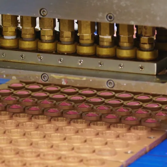 Biotin gummy depositing equipment adapted for mass production of complex formulas, using late-stage vitamin addition, calculated overage and ingredient-specific processing to support label-claim accuracy.