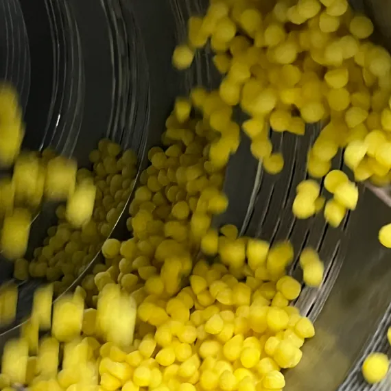Yellow biotin gummies inside SUCOTOND's centrifugal gravity dryer, with moisture, surface hardness, texture and coating options optimized for custom biotin gummy flavor development.