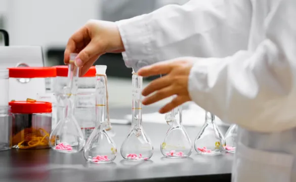 Integrated r&d support and process verification for collagen gummies manufacturing