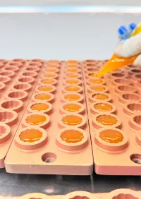 Private label collagen gummy molding and formulation development for oem and odm product launch
