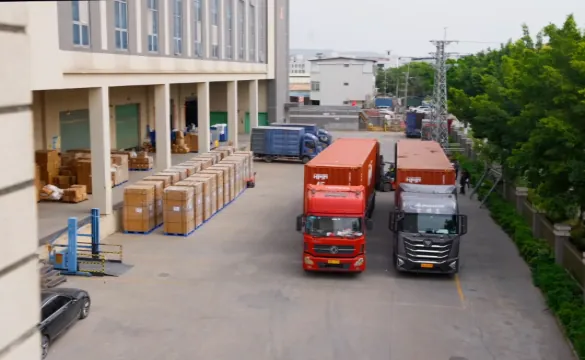 Bulk CoQ10 Gummies – Factory Shipping, Export Logistics and Repeat Commercial Orders