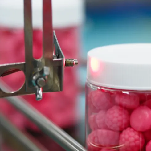 Pectin-Based Sugar-Free CoQ10 Gummies – Private Label Raspberry-Shaped Gummy Manufacturing and Production