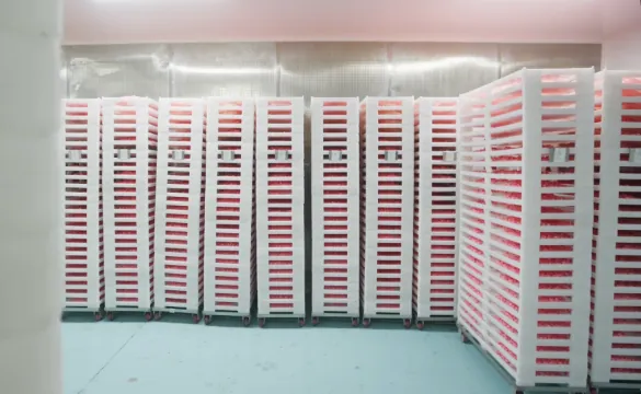 Creatine d3 k2 gummies drying racks guangzhou factory