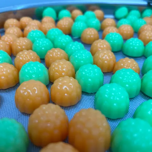 Turquoise and tan berry-shaped gummy samples representing more than 10 Creatine D3 K2 Gummies process formulations developed for women’s healthy aging product programs.