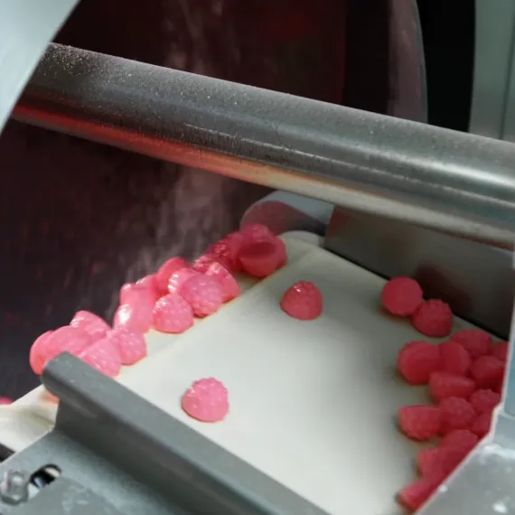 Pink gummies leaving production equipment after hot-air drying, a process used with fine creatine particles to lower water activity and improve Creatine D3 K2 Gummy toughness, surface firmness and mouthfeel.