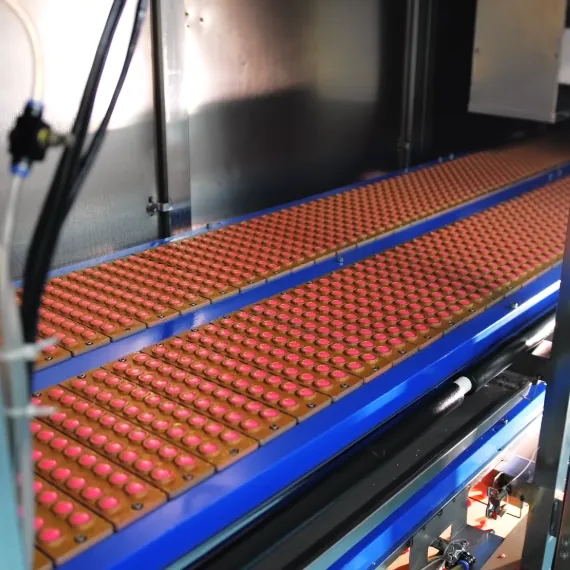 Rows of pink gummies on industrial drying equipment during mass-production engineering for Creatine D3 K2 Gummies, including creatine premix addition after cooling to 70°C and lower-temperature vitamin addition.