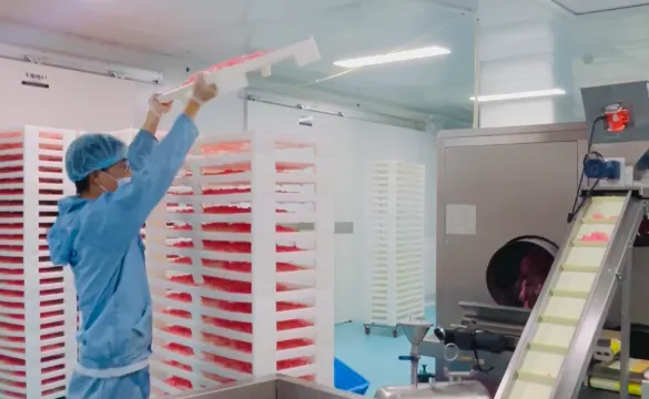 Creatine electrolyte gummy production team