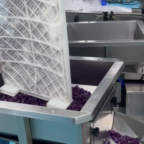 Production staff transfer gummy batches into processing equipment during creatine electrolyte gummy manufacturing