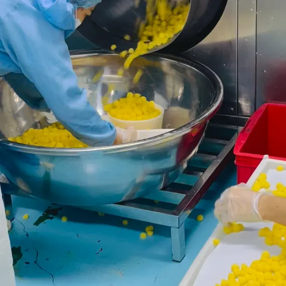 Production staff handle gummies during controlled processing for creatine mineral gummy manufacturing