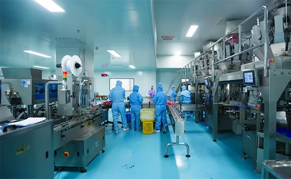 Automated Production Lines at a Creatine Gummy Manufacturer