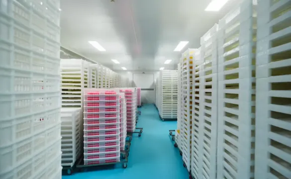 Daily creatine gummies manufacturer drying racks png