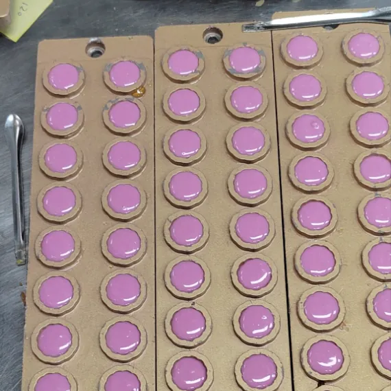 Purple gummy samples in molds during elderberry gummy color and process evaluation