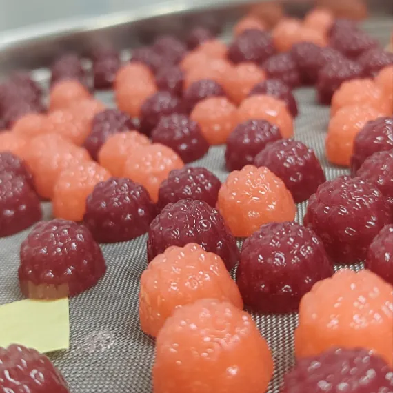 Finished gummy samples on a production tray for elderberry gummy batch evaluation