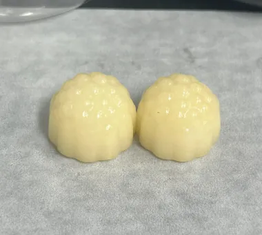 Botanical-style gummy samples for elderberry and echinacea combination product development