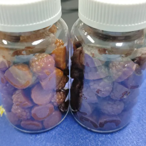 Two jars containing brown and purple gummy samples on a blue table