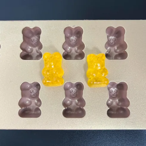 Two yellow bear-shaped gummies among separate purple gummy samples