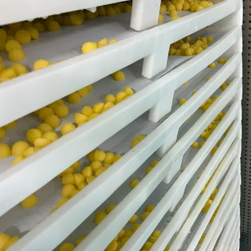 Yellow gummy samples on stacked drying trays