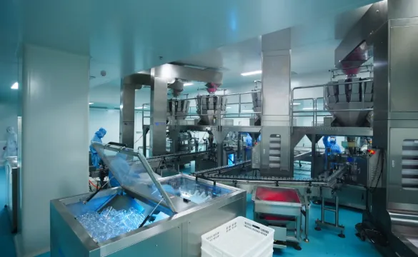 Gummy production line supporting iron gummy OEM and ODM manufacturing from scale-up to commercial production