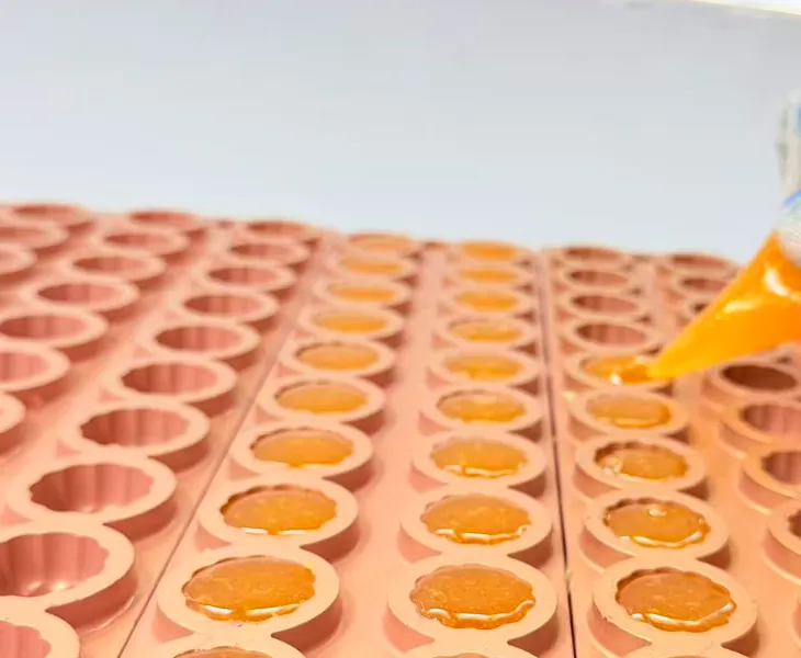 Pilot-scale iron gummy production evaluates gummy structure and process adaptability before mass production