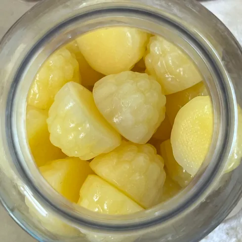Pale yellow gummy samples viewed inside an open sample container