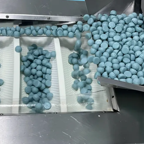 Blue gummy samples moving across a stainless steel production conveyor