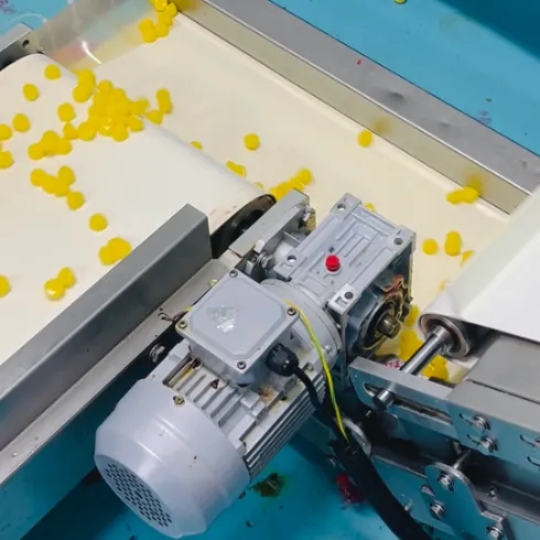 Production equipment used during melatonin gummy scale-up and commercial batch processing