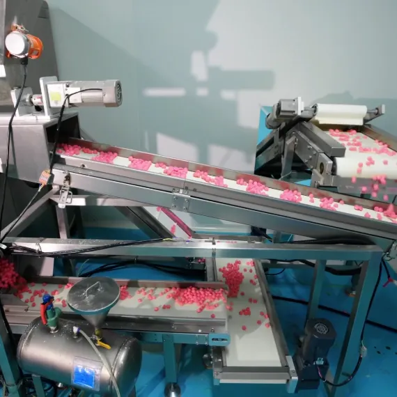 Pink gummies moving through automated equipment during controlled melatonin gummy batch production