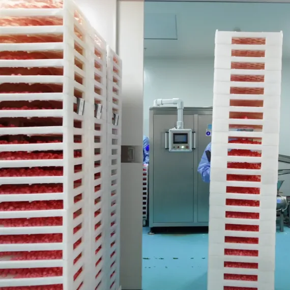 Gummy production trays arranged for controlled drying and stability observation during melatonin gummy manufacturing