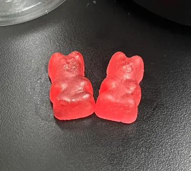 Red bear-shaped gummy samples for 1 mg melatonin gummy product development
