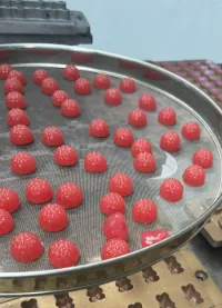 Red gummy samples with production molds for a 3 mg melatonin gummy scale-up project