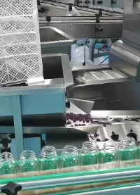 Purple gummies and bottles moving through automated equipment during melatonin gummy packaging
