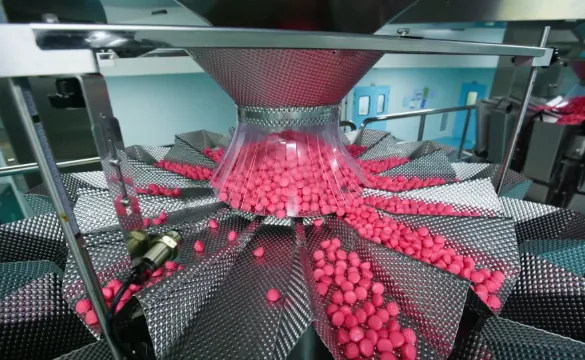 Wholesale bulk mushroom gummies factory production png