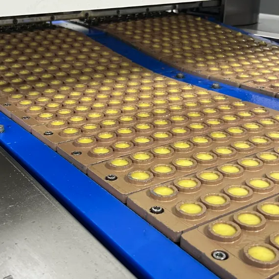 Yellow gummies forming in production molds for mushroom blend formulas, with pectin-cellulose bases, staged ingredient addition and chelated minerals used to manage compatibility and texture stability.