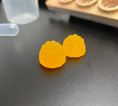 Two orange Lion's Mane mushroom gummy samples using Lion's Mane as the main ingredient, with optional mushroom combinations for custom private label formulas.
