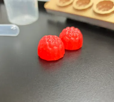 Two red mushroom gummy samples made with a blend of Lion's Mane and Reishi mushroom powders, with adjustable ratios to support a quick-start private label product project.