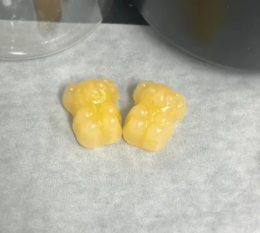Pale yellow gummy bear samples for Reishi mushroom gummies made with Reishi powder, spore powder or extract, using late-stage, low-temperature ingredient addition for custom formulas.