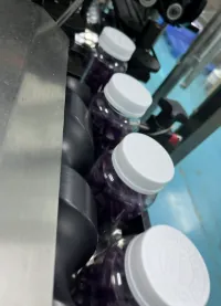 Bottled purple gummies on a packaging line for a Reishi mushroom sleep gummies project, with optional magnesium glycinate to support a premium sleep-focused product concept.