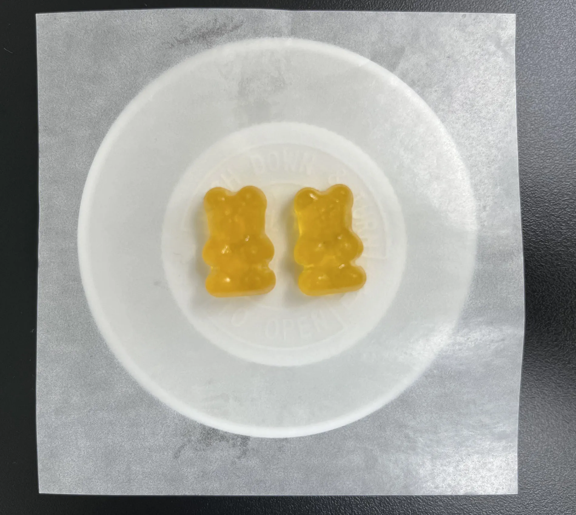 Two yellow WPI protein gummy bears from SUCOTOND's standard formula with 25% WPI per gummy, providing a stable, cost-efficient baseline for custom protein gummies.