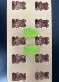 Brown and green gummy bear samples for vegan protein gummies made with pure pectin and plant protein, designed without animal-derived ingredients to support Vegan, Halal and Kosher certification planning.