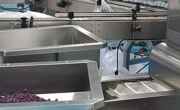 Saffron gummy production team